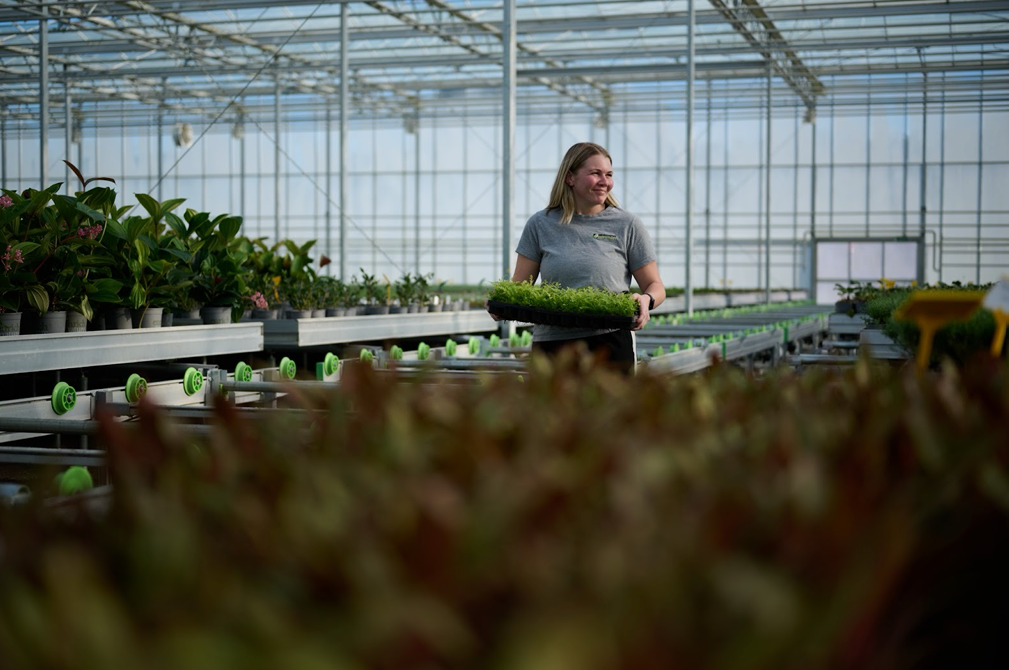 Imaeg of worker carrying plants