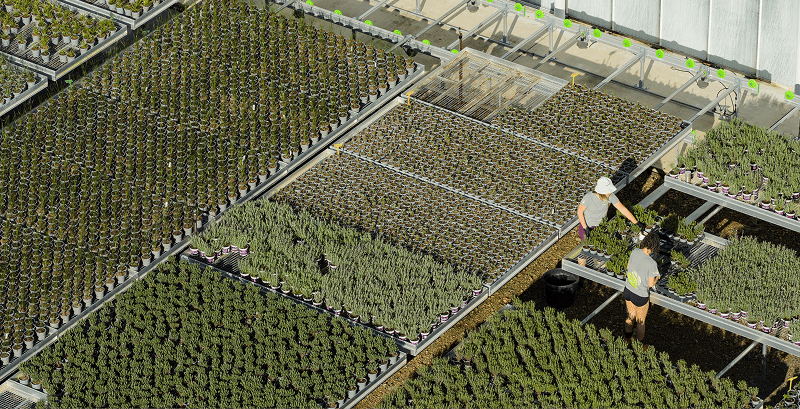 Map (12) Field with plant pots
