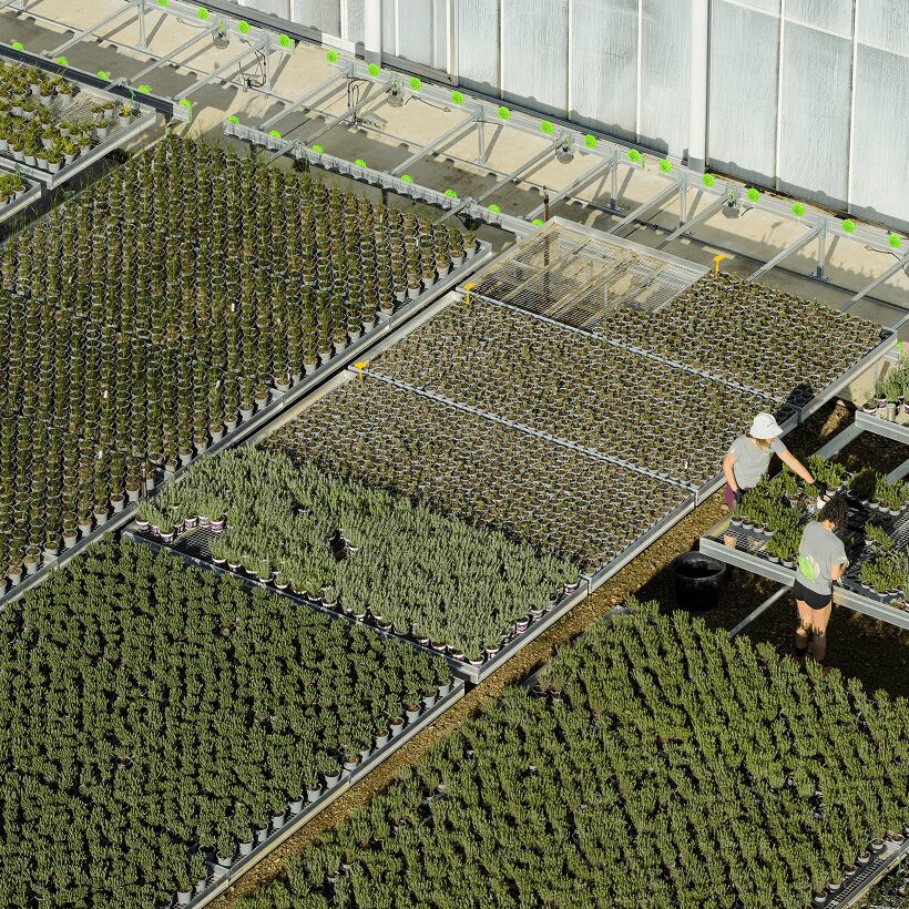Top view of facility
