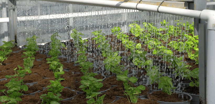 Map (7) Plant pots getting watered