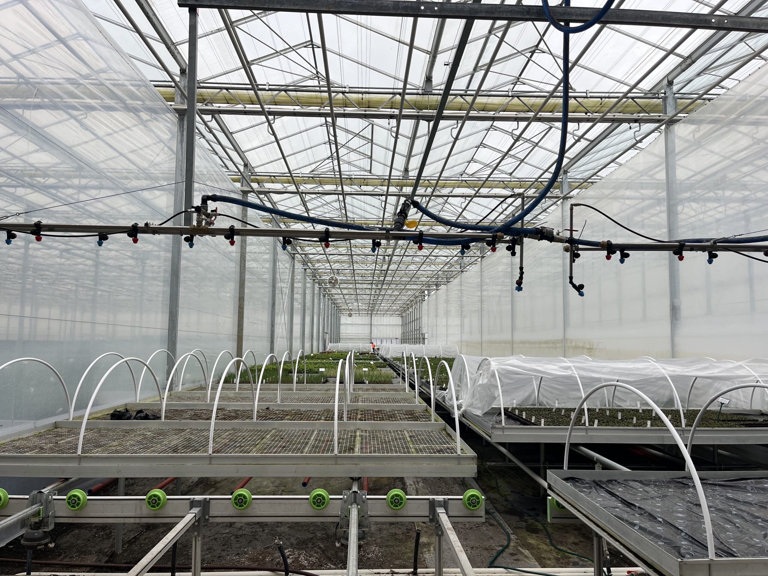 Insife Rainbow Park Facility