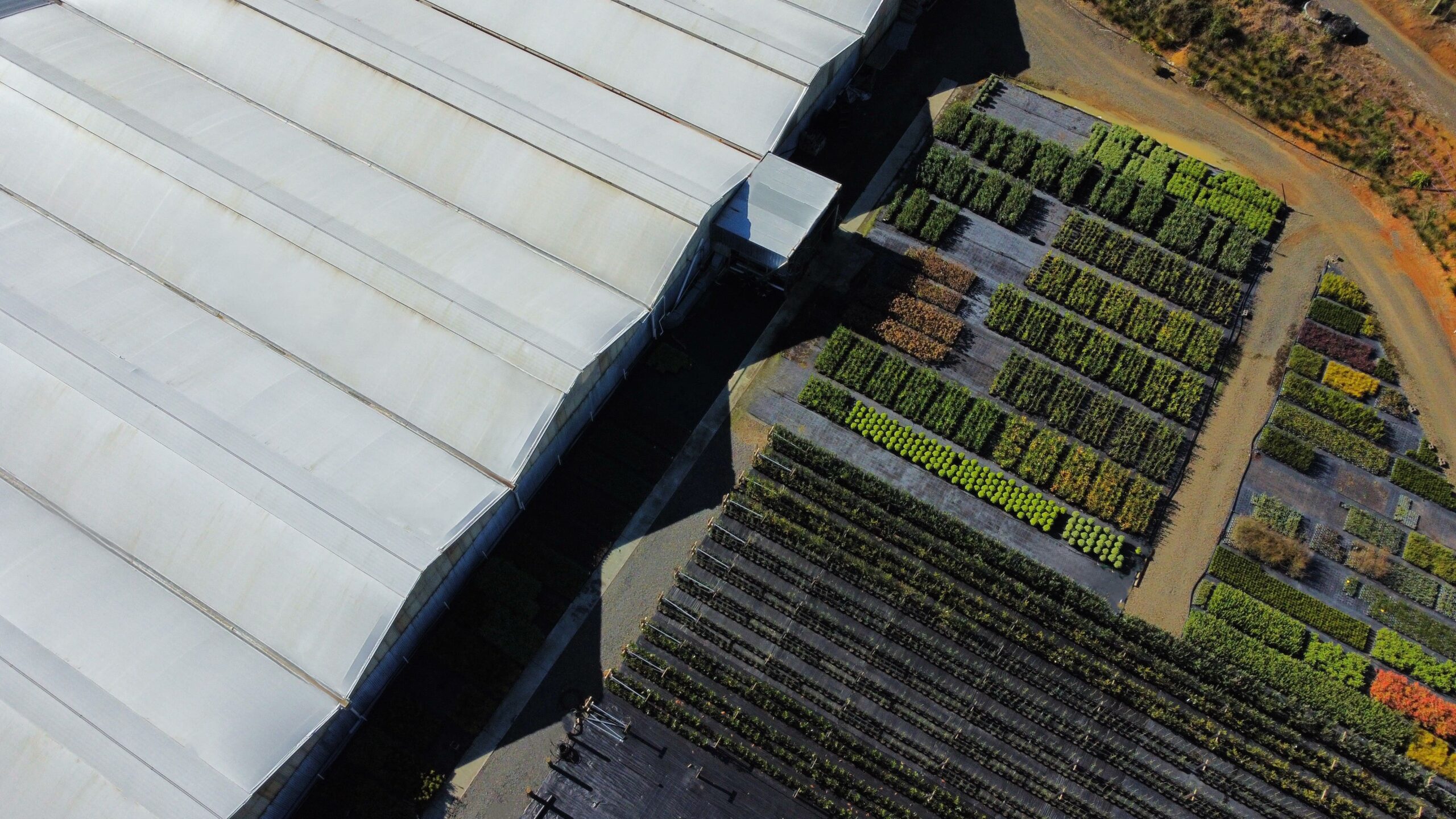 Top view of Rainbow Park facility